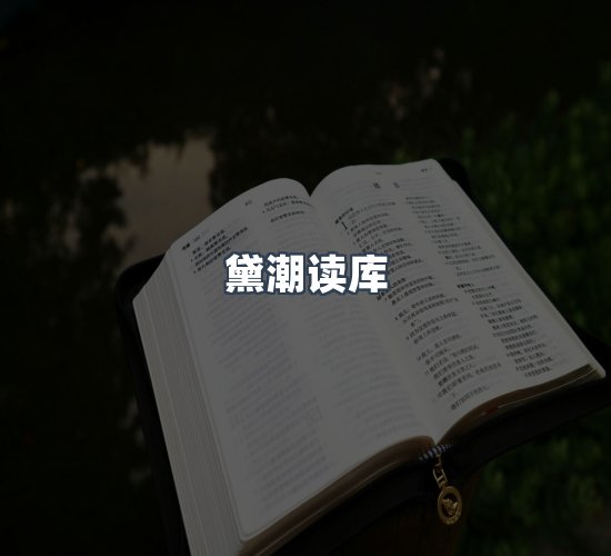 关于黛潮读库